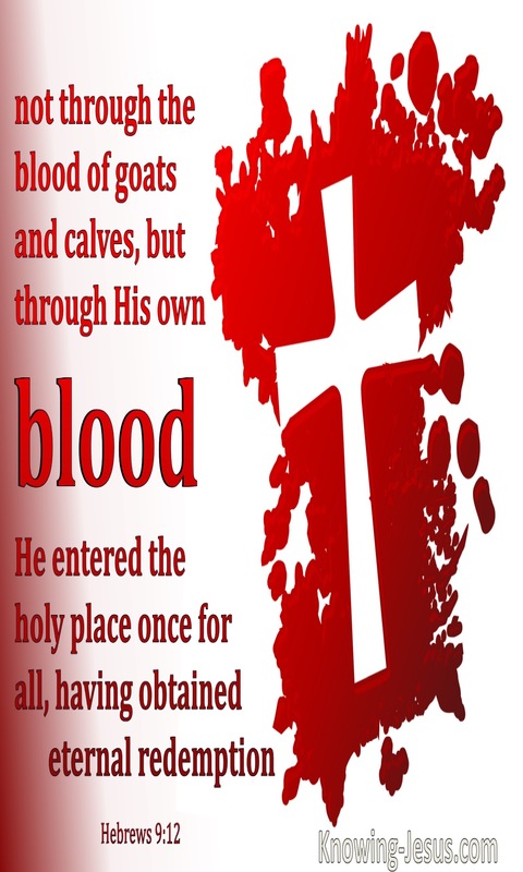 Hebrews 9:12  Through His Own Blood (maroon)
